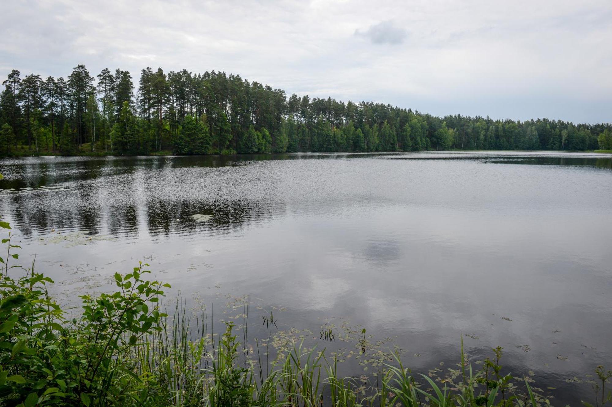 Alberta Diki Upesciems Pokoj fotografie